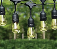 Guirlandes lumineuses Hometrends à 10 DEL solaires, blanc chaud et café 10 comptes/énergie solaire
