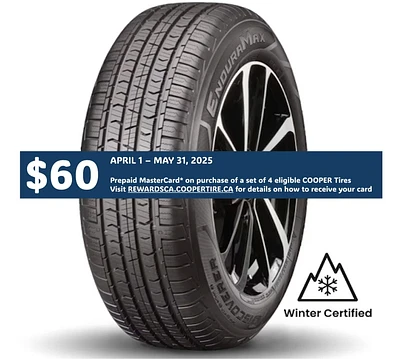 Cooper Discoverer EnduraMax 225/60R18 100H BSW