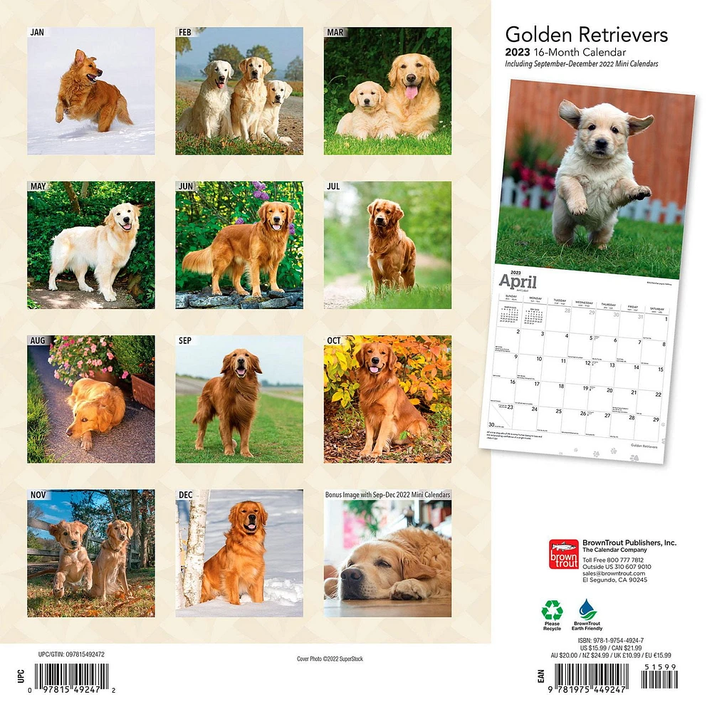 Golden Retrievers | 2023 12x24 Inch Square Wall Calendar