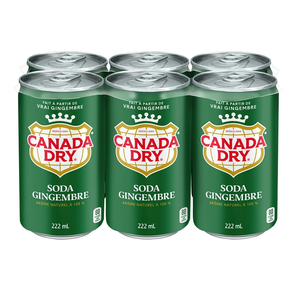 Canada Dry® Ginger Ale 222 mL Mini-Cans, 6 Pack, 6 x 222 mL