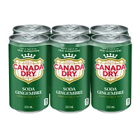 Canada Dry® Ginger Ale 222 mL Mini-Cans, 6 Pack, 6 x 222 mL