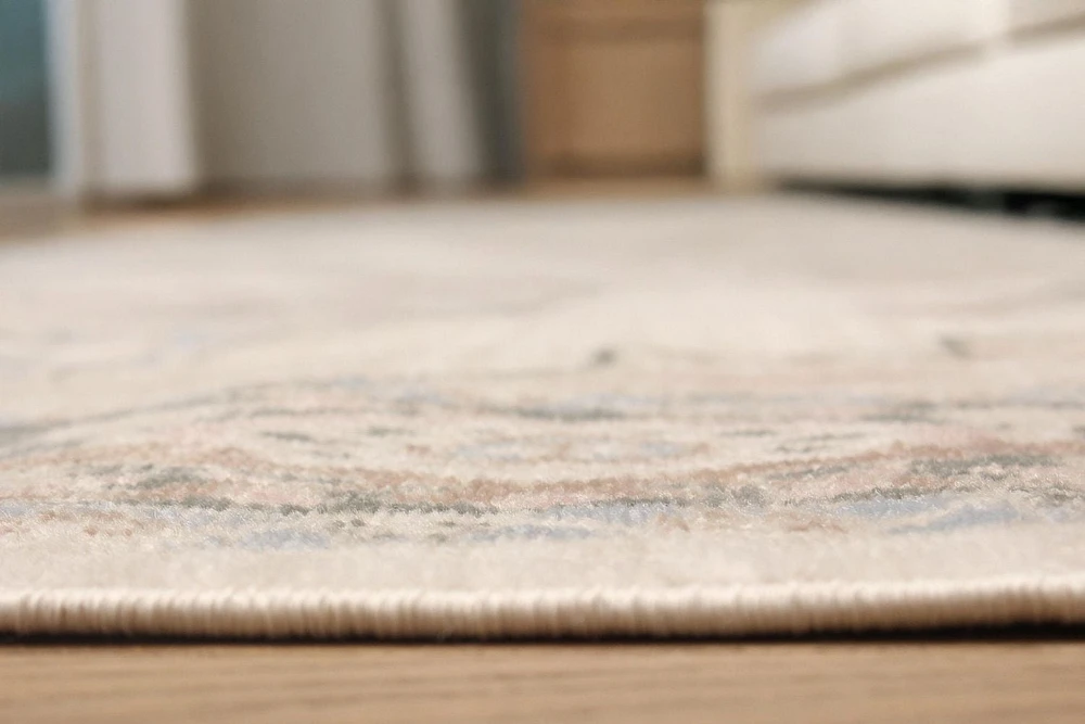 ECARPET Myra 8'0" x 10'0" Traditional Area Rug for Living Room, Bedroom, Dining Room, Entrance, Hallway and More.