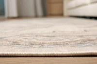 ECARPET Myra 8'0" x 10'0" Traditional Area Rug for Living Room, Bedroom, Dining Room, Entrance, Hallway and More.