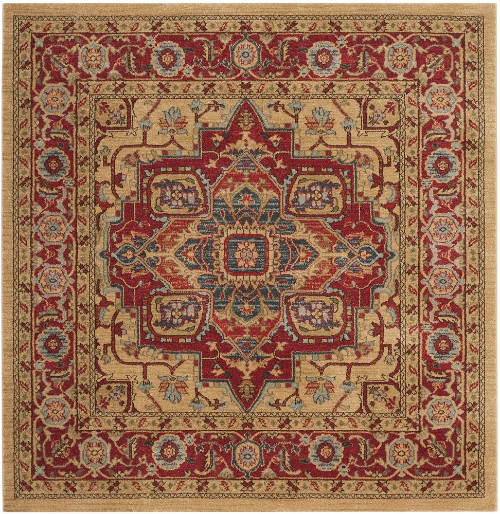 Safavieh Mahal Oswin Floral Bordered Area Rug