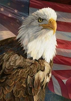 Buffalo Games - Le puzzle Old Glory - Magnificent Freedom - en 500 pièces
