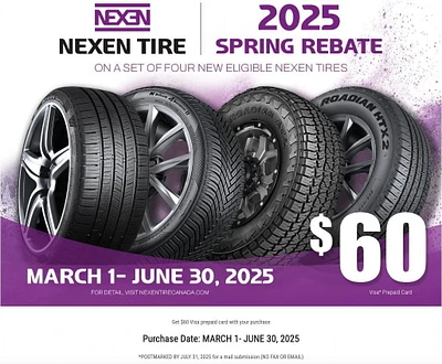 NEXEN N'FERA SUPREME 205/65R16 95V Tire