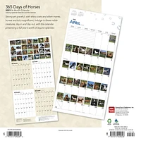 365 Days of Horses | 2023 12x24 Inch Square Wall Calendar