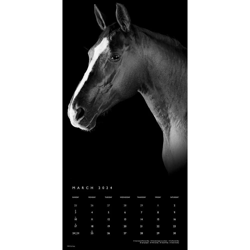 BrownTrout The BrownTrout Portrait Series: The Noble Horse 2024 12x24 Inch Square Wall Calendar, 9781975463120