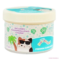 Original Squishmallows™ Cam le Petit Chat Substance Gluante Nuage De Qualité Supérieure, Parfumée à La Noix de Coco