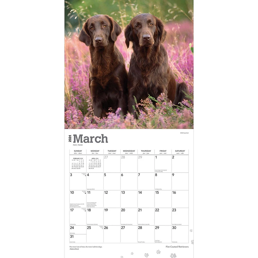 BrownTrout Flat-Coated Retrievers 2024 12x24 Inch Square Wall Calendar, 9781975467890