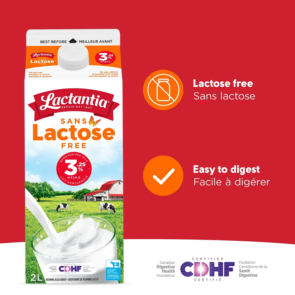 Lactantia Lactose Free Milk 3.25% Homogenized, 2L