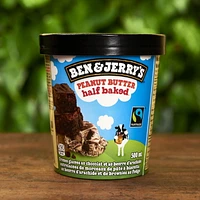 Ben & Jerry's Peanut Butter Half Baked Ice Cream