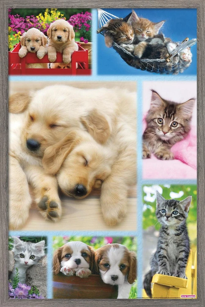 Keith Kimberlin - Puppies and Kittens Collage Wall Poster, 22.375" x 34"