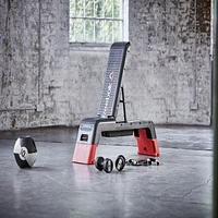 Reebok Banc de musculation professionnel
