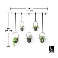 Umbra - Jardinière suspendue Triflora, lot de 5