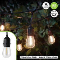 JEU DE 12 LUMIÈRES À DEL S14 EDISON AVEC FIL DE QUALITÉ COMMERCIALE ET FILAMENTS DROITS