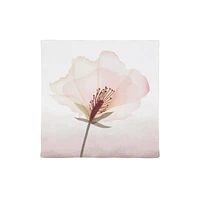Blush Flower Embellished Canvas, 6in W x 6in H
