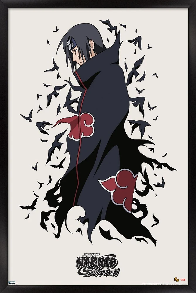 Naruto Shippûden