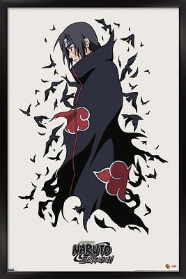Naruto Shippûden