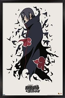 Naruto Shippûden