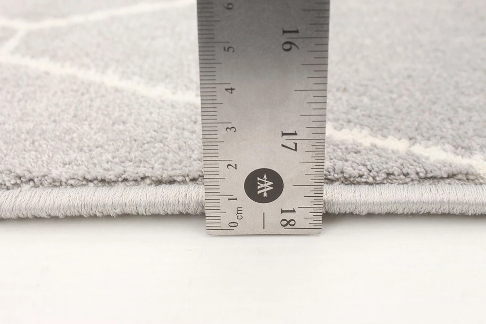 Tapis ECARPET Contemporain pour Salon, Chambre à Coucher, Salle Manger