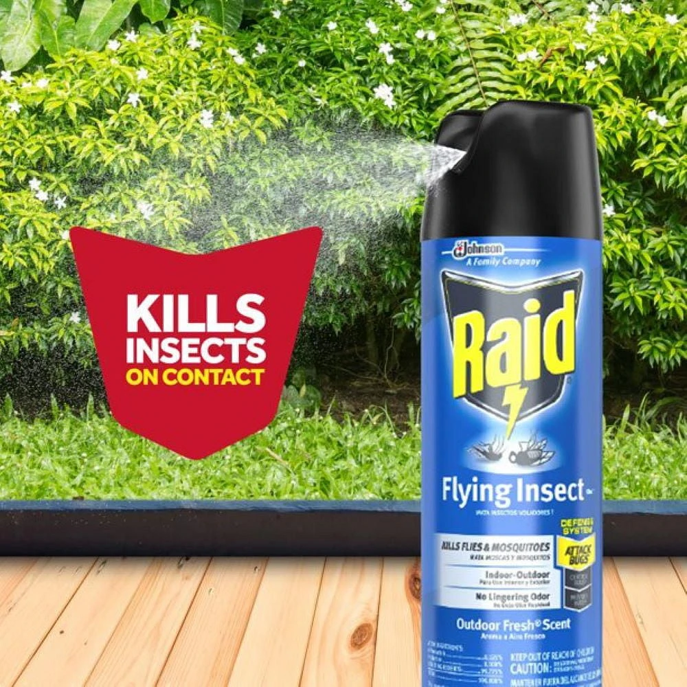 Insecticide Raid contre les moustiques et les mouches, tue les insectes en question au contact, pour utilisation à l’intérieur et à l’extérieur 350g