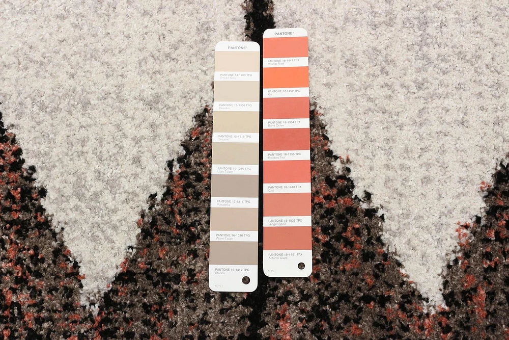 Tapis ECARPET Southwestern Collection Losange
