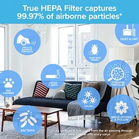 Filtre HEPA véritable Filtrete(MC) avec protection de qualité supérieure contre les allergènes, les bactéries et les virus, FAPF-CA-F2-PBV, F2, 1/paquet