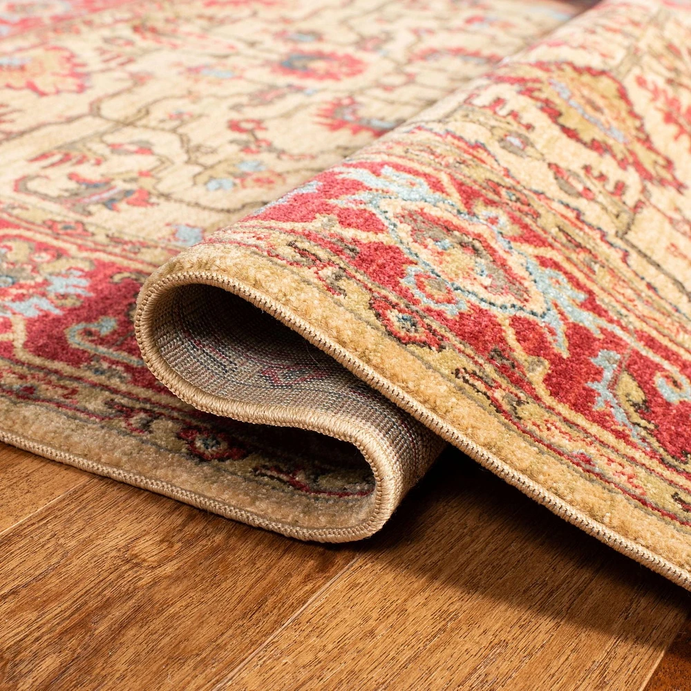 Safavieh Mahal Bentley Floral Bordered Area Rug
