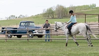 Heartland - Complete Season 6 (DVD) (Bilingual)