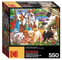 Puzzle Kodak 550 pièces - Chiots