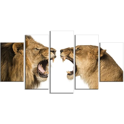 Design Art Lion Et Lionne Rugissant Art Sur Toile