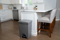 Mistral® 50L Poubelle à Pédale iCan® Taupe Capacité de 50L /13.2 gal
