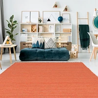 Verginia Berber Coral 7 ft. 10 in. x 10 ft. 4 in. Area Rug
