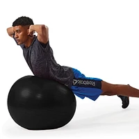 Reebok Delta 75 cm Large Weighted Stability Ball, Pump Included, Various sizes available