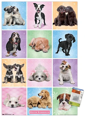 Keith Kimberlin - Puppies - Cuties Grid Wall Poster, 22.375" x 34"