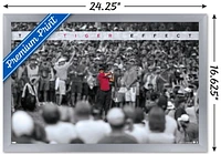 Tiger Woods - L'effet tigre