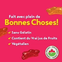 Annie'sMC Biologique Bunny Fruit Collations aromatisées Baies des champs, Collation pour Enfants, 198 g 10 sachets, 198 g