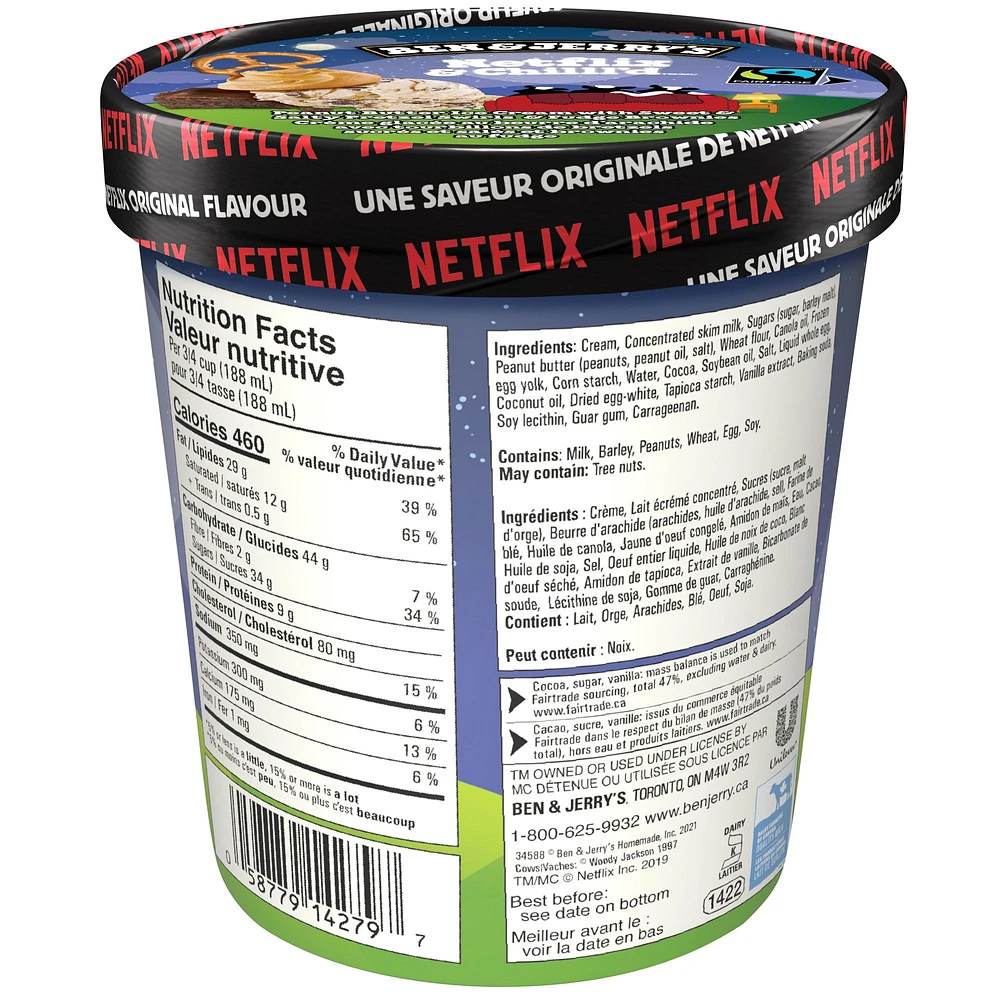 Ben & Jerry's Netflix & Chilll'd Ice Cream, 473ml, 473 ml