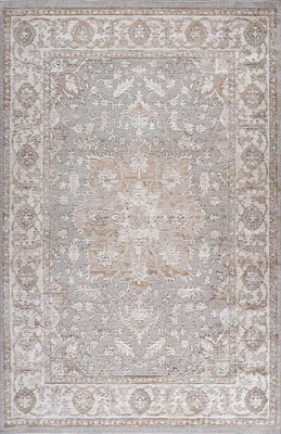 Rug Branch Cadence Vintage Indoor Area Rug, Beige Grey, Oriental - Living Room, Bedroom, Dining Room, and Kitchen<br>