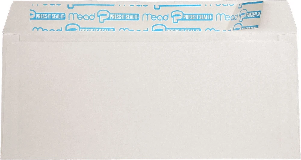 Hilroy enveloppes blanches  4po x 9po