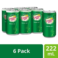 Canada Dry® Ginger Ale 222 mL Mini-Cans, 6 Pack, 6 x 222 mL