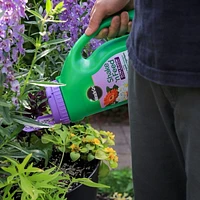 Engrais pour plantes Miracle-Gro Shake n Feed Ultra Bloom - 2,04kg Fertilise jusqu'à trois mois.