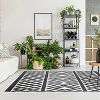 Indoor Rug