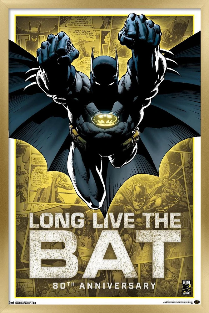 DC Comics - Batman - 80e anniversaire