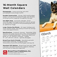 BrownTrout Akitas 2024 12x24 Inch Square Wall Calendar, 9781975467784