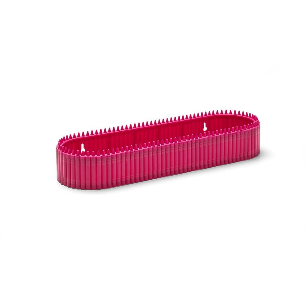 Crayola - Shelf