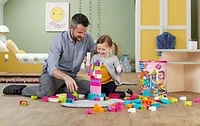 Mega Bloks Grand sac de blocs [80 pièces