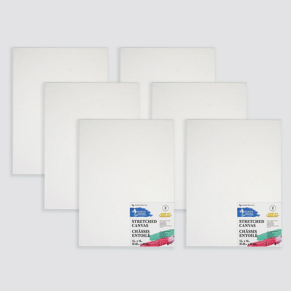 Lot de 6 toiles tendues Northshore 12"x16"