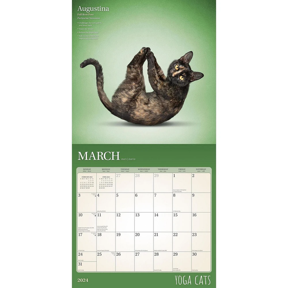 BrownTrout Yoga Cats OFFICIAL 2024 12x24 Inch Square Wall Calendar, 9781975467012